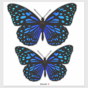 Sticker Papillon bleu Thunder_Cove
