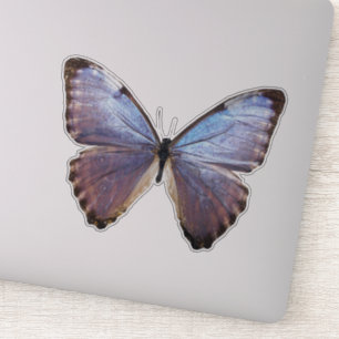 Sticker Papillon Iridescente
