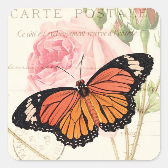 Sticker papillon Monarque (Devant)