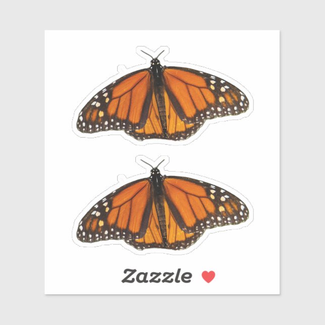 Sticker Papillon monarque ailes ouvertes (Feuille)