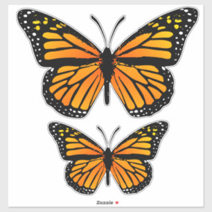 Sticker Papillon monarque décoratif