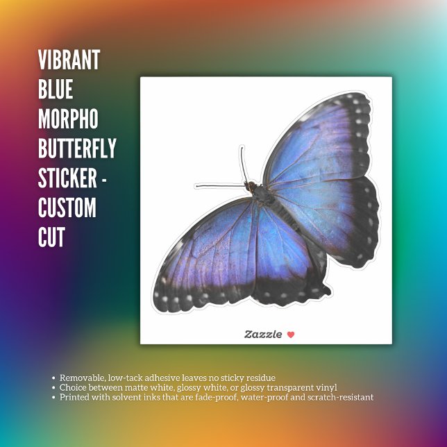 Sticker Papillon Morpho Bleu Vibrant - Coupe perso (Vibrant Blue Morpho Butterfly Sticker - Custom Cut)