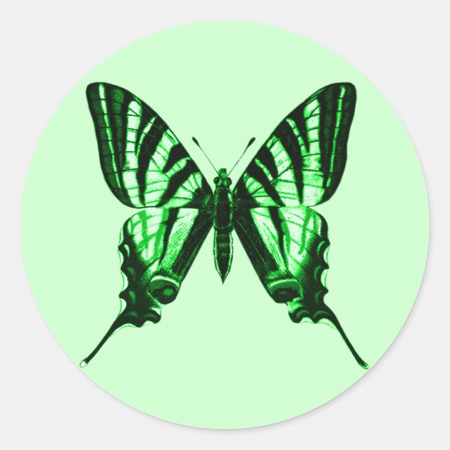 Sticker papillon vert (Devant)