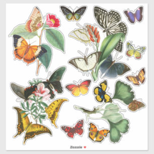Sticker Papillons et fleurs d'art Vintage colorés