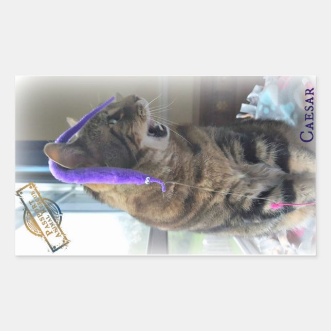 Sticker PAR César (Devant)