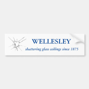 Sticker pare-chocs