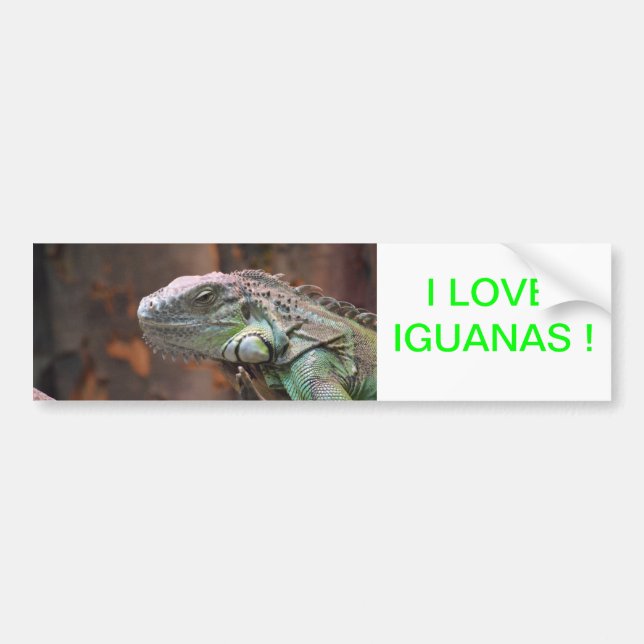 Sticker pare-chocs avec lézard Iguana coloré (Devant)