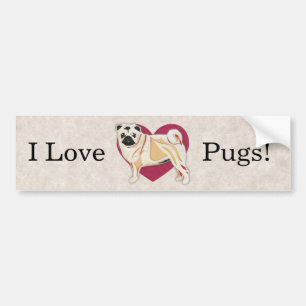 Sticker pare-chocs carlin