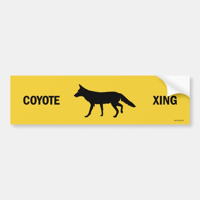 Sticker pare-chocs Coyote (Devant)