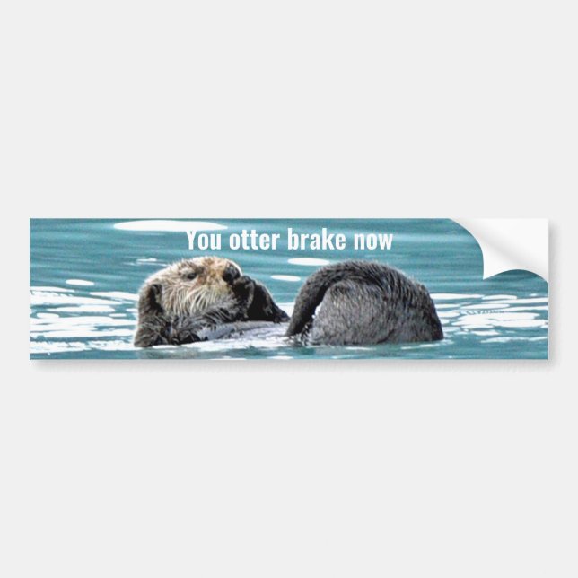 Sticker pare-chocs de la loutre (Devant)