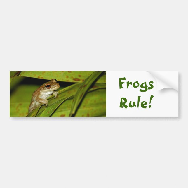 Sticker pare-chocs de règle de grenouilles (Devant)