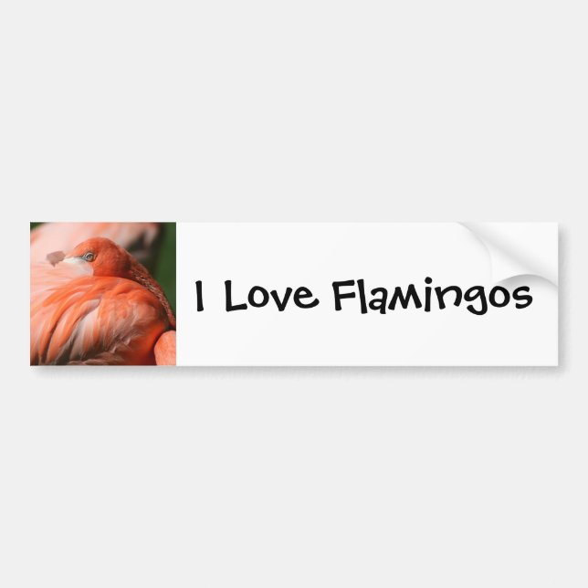 Sticker pare-chocs Flamant rose (Devant)