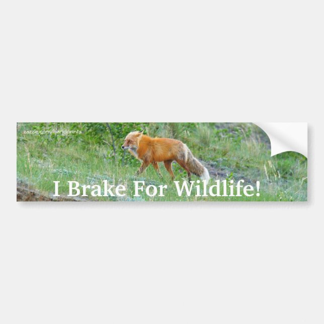 Sticker pare-chocs Fox Wildlife Protection (Devant)