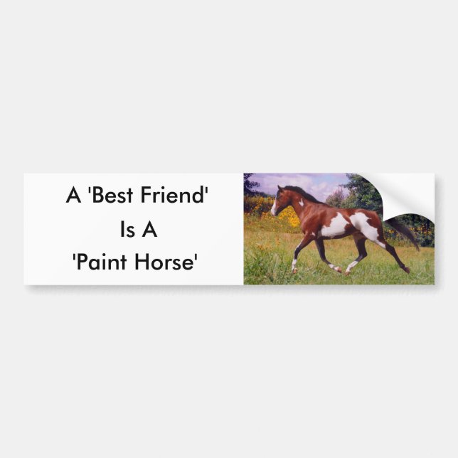 Sticker pare-chocs Friend Paint Horse (Devant)