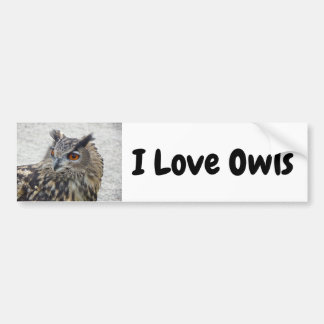 Sticker pare-chocs I Lols Owls
