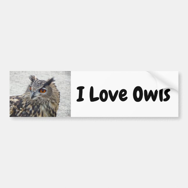 Sticker pare-chocs I Lols Owls (Devant)