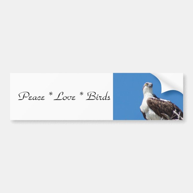 Sticker pare-chocs Inséparables de la paix (Devant)