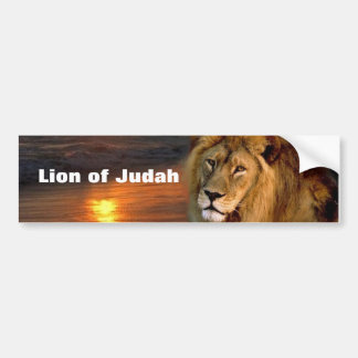 Sticker pare-chocs Lion de la collection Judah