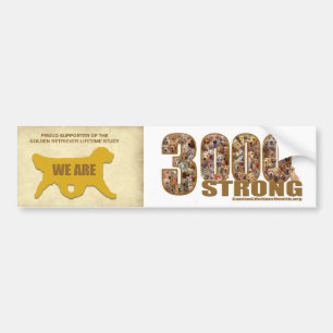 Sticker pare-chocs - Nous sommes 3000 Fort