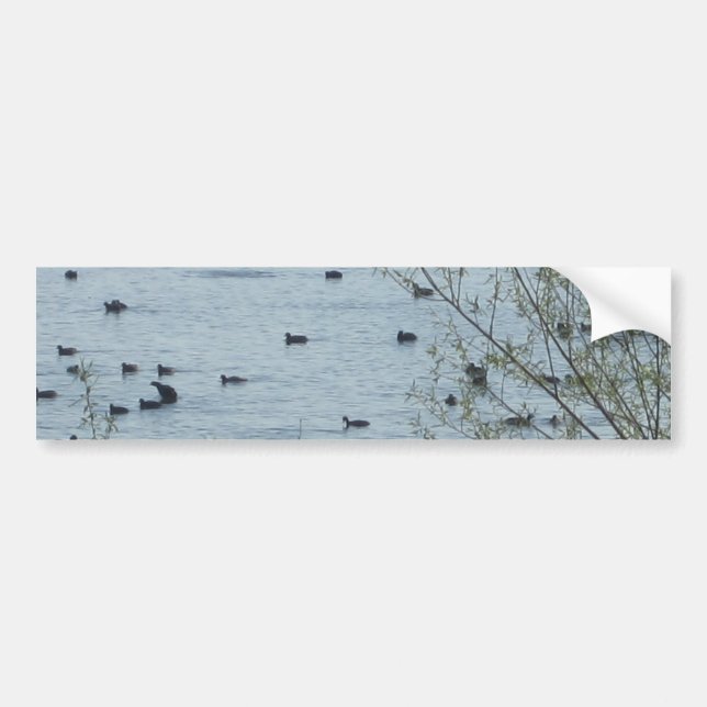 Sticker pare-chocs pour les oiseaux du lac (Devant)