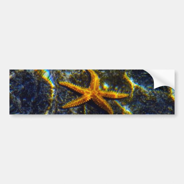 Sticker pare-chocs Starfish (Devant)