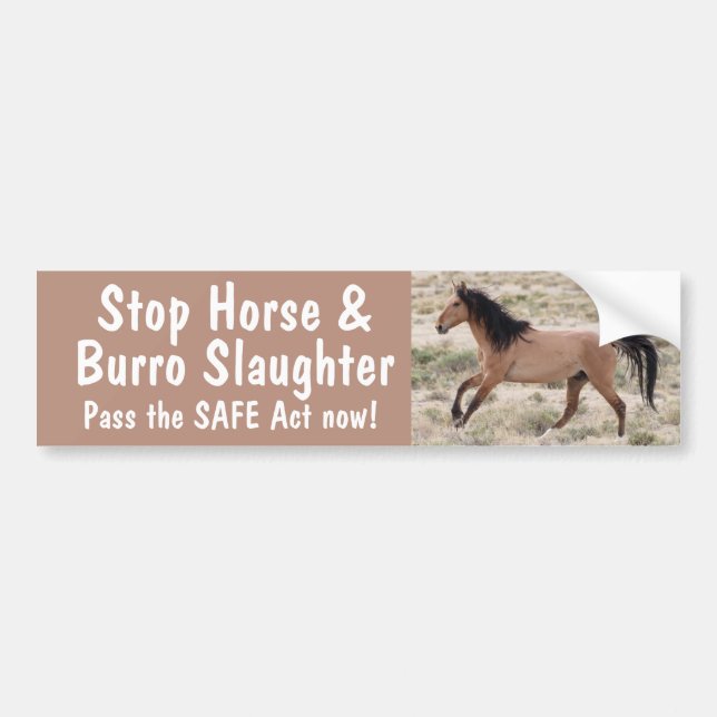 Sticker pare-chocs Stop Horse (Devant)
