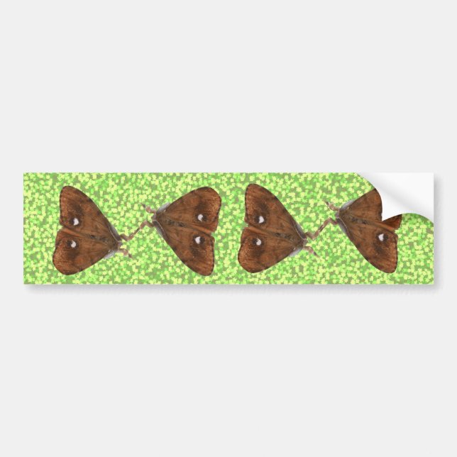 Sticker pare-chocs Vapourer Moths (Devant)