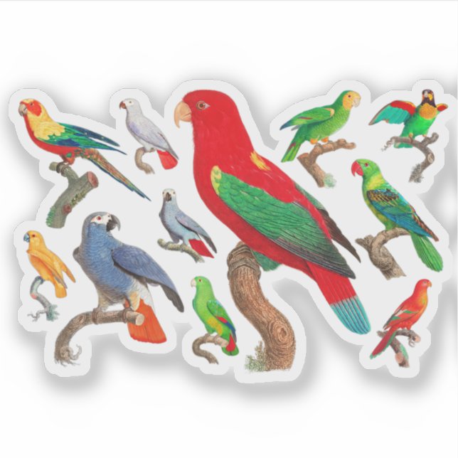 Sticker Parrots Galore (Devant)