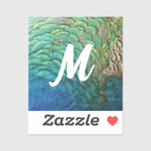 Sticker Peacock Plumes I Colorful Abstrait Nature Design