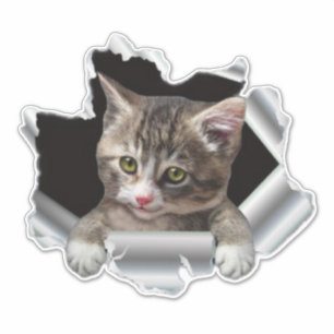 Sticker Peeking Cat Vinyl Decal  Décal de voiture, autocol