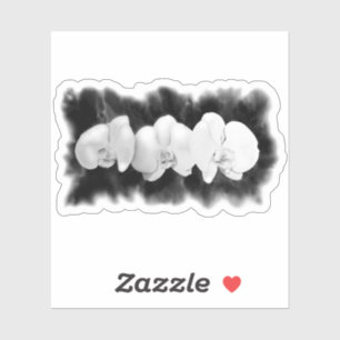 Sticker Peinture d'orchidées d'aquarelle blanche noire