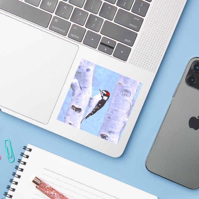 Sticker Peinture Downy Woodpecker - Art original pour oise (Ordinateur portable avec iPhone)