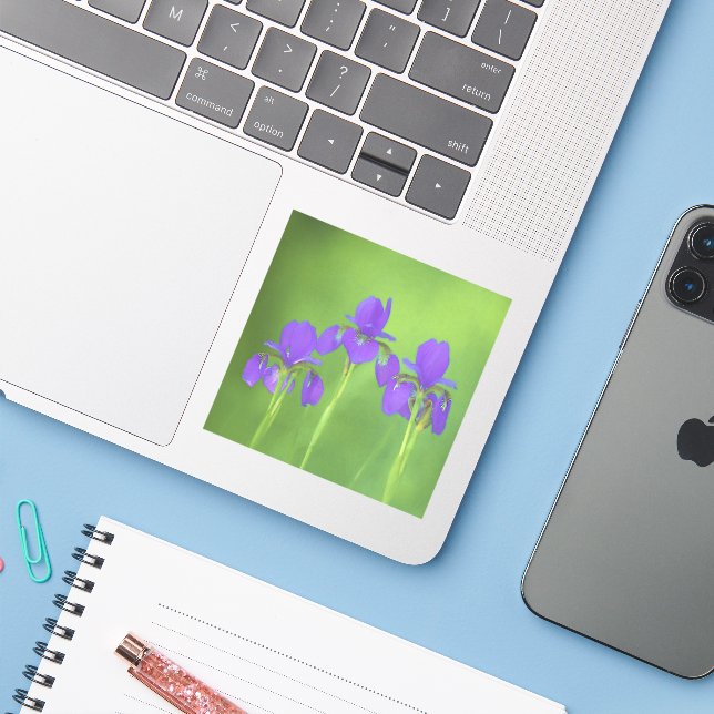 Sticker Peinture Iris Violet - Art Fleur Originale (Ordinateur portable avec iPhone)