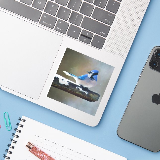 Sticker Peinture Jay Bleu - Art Oiseau Original (Ordinateur portable avec iPhone)