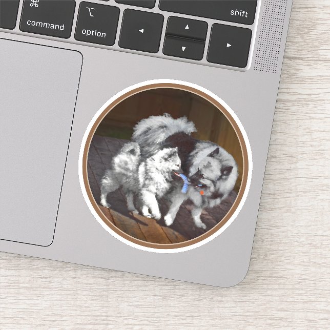 Sticker Peinture Keeshond Playtime - Jolie art original ch (Détail)
