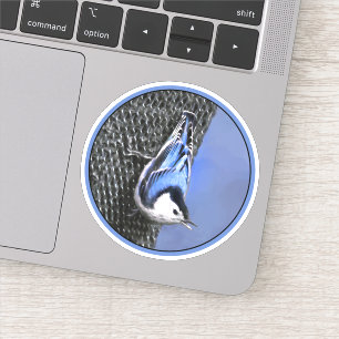 Sticker Peinture Nuthatch à poitrine blanche Art original