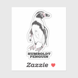 Sticker Penguin de Humboldt