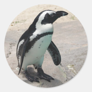 Sticker Penquin