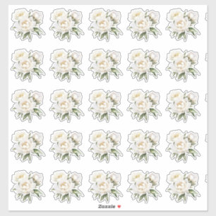 Sticker Peonies blanches