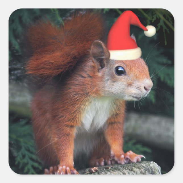 Sticker père Noël Claws (Devant)