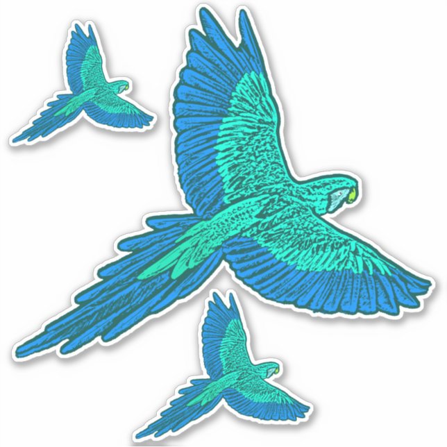 Sticker Perroquet en vol, Aqua et Bleu Cobalt (Devant)