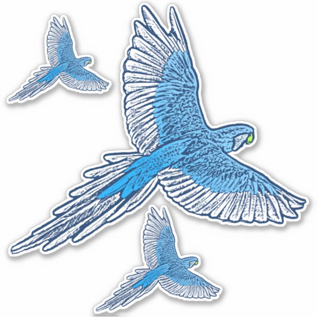 Sticker Perroquet en vol, bleu et blanc de cobalt (Devant)