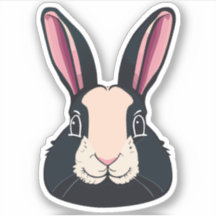 Personnage de dessin animé lapin mignon