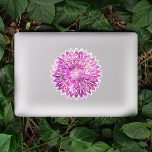 Sticker Pétales de fleurs dessinées à la main Mandala rose