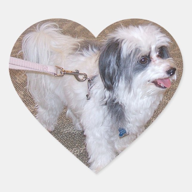 Sticker Petit Chien (Devant)