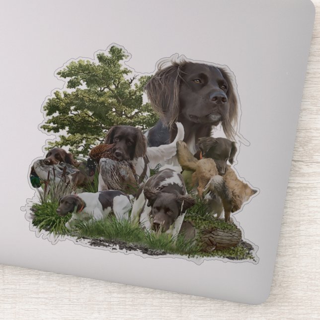 Sticker Petit Munsterlander (Détail)