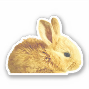 Sticker Petit Portrait de Bunny