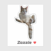 Peut-être devriez-vous couvrir cela ? Chat
