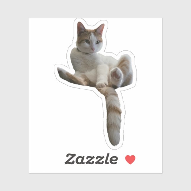 Sticker Peut-être devriez-vous couvrir cela ? Chat (Feuille)