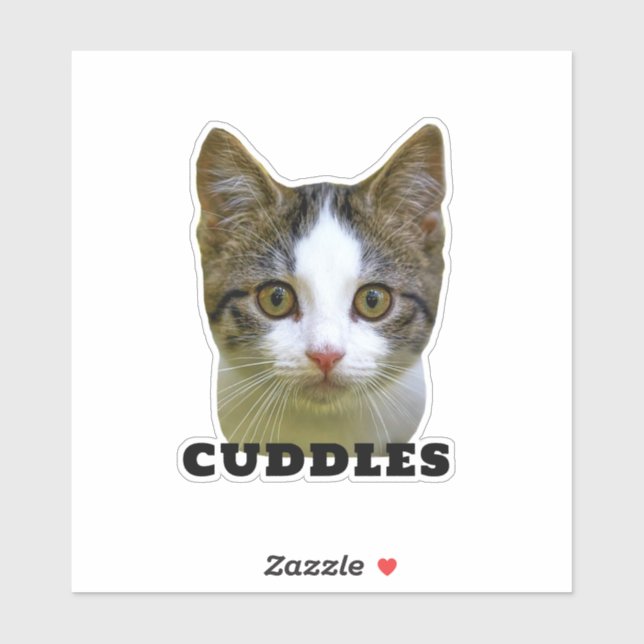 Sticker Photo de chat amusant et nom vinyle étanche pour a (Feuille)